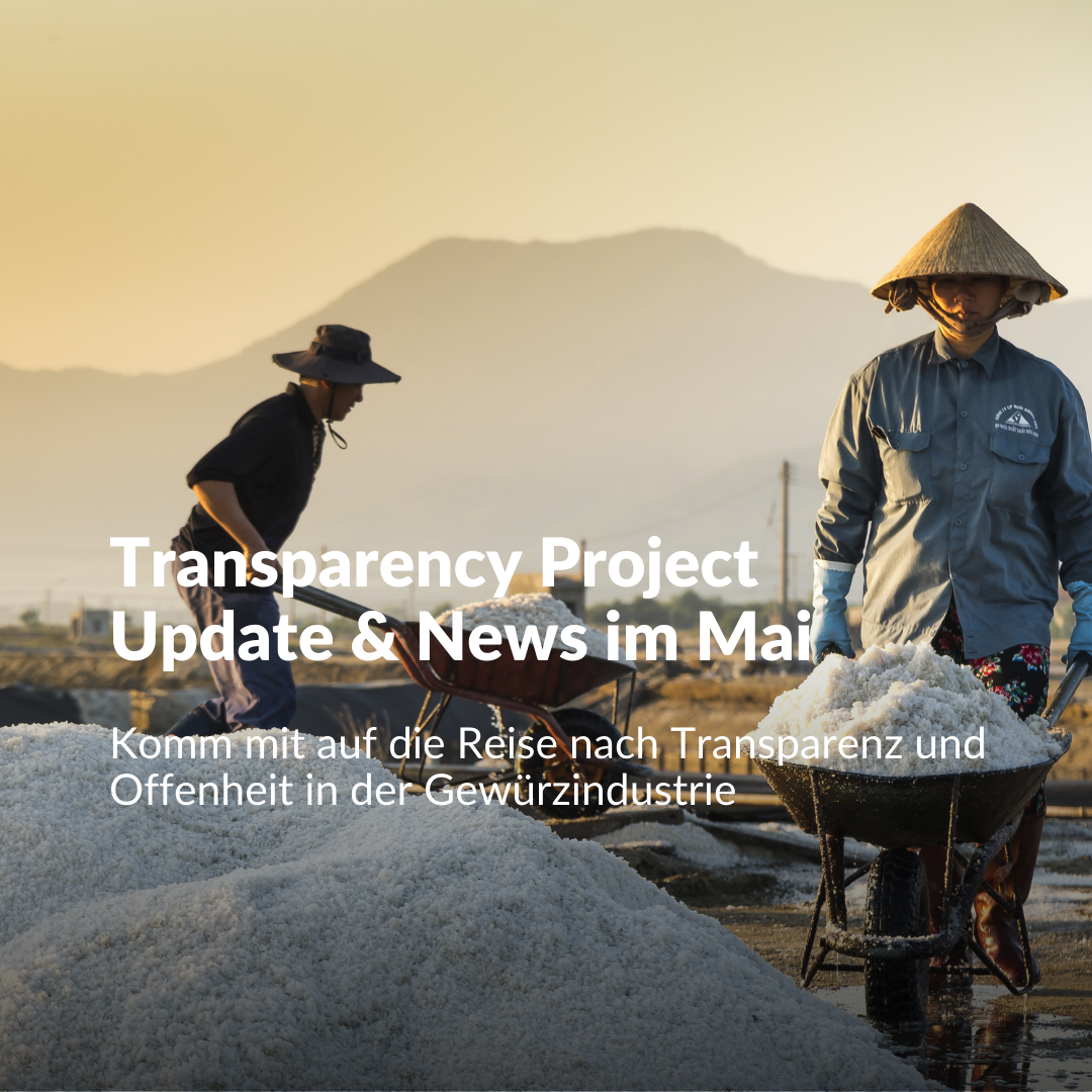 Transparency Project Update & News im Mai – Gipfelhirsch