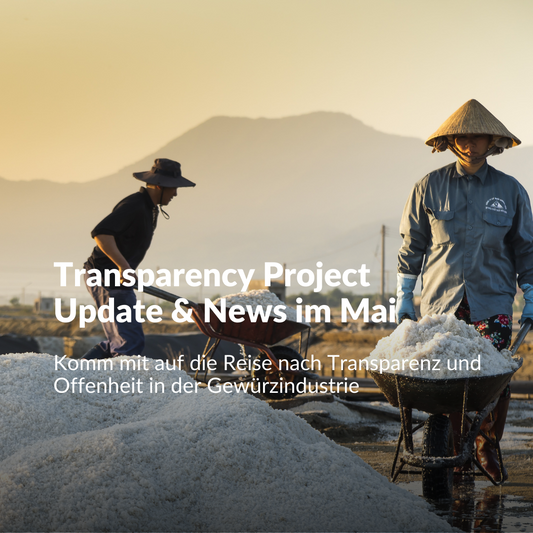 Transparency Project Update & News im Mai